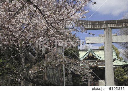 牛嶋神社 牛嶋神社 6595835