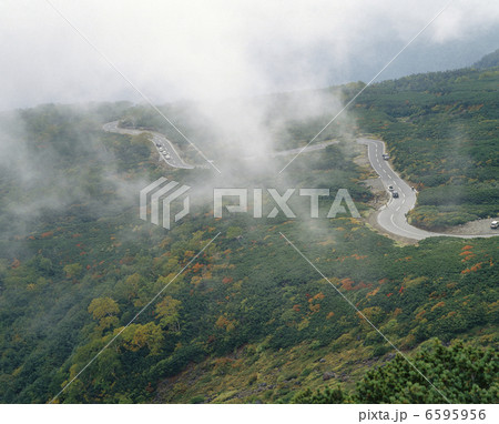 霧の山岳道路 6595956
