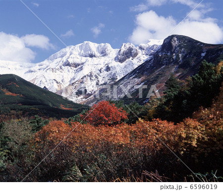新雪の上ホロカメットク山 新雪の上ホロカメットク山 6596019