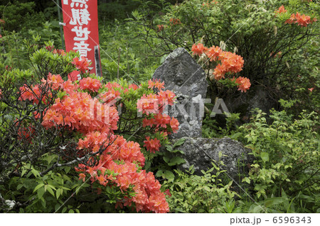 地蔵峠のお地蔵様 地蔵峠のお地蔵様 6596343