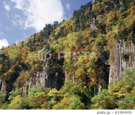 天人峡の岩壁 6596409