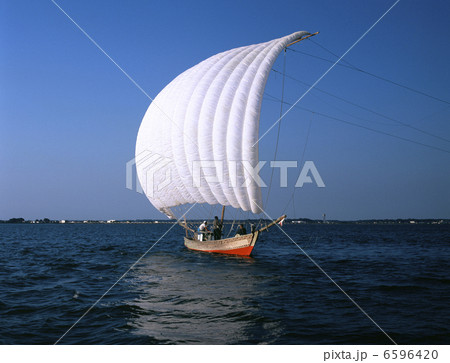 帆引き船 6596420