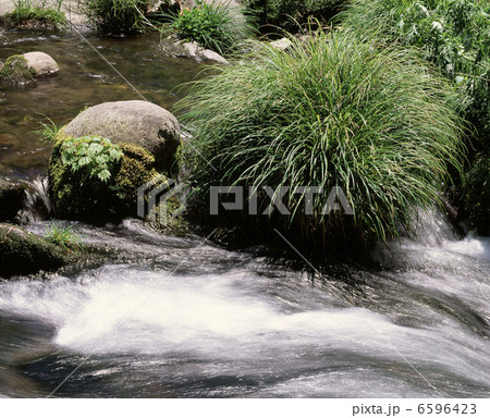 草原と流れ 草原と流れ 6596423