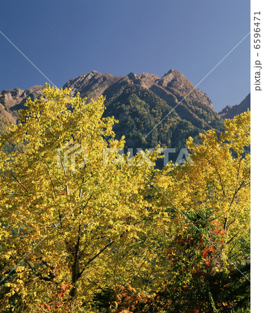 南アルプス・鋸岳 南アルプス・鋸岳 6596471