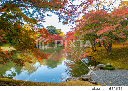 仙洞御所　北池の船着き場 6596544