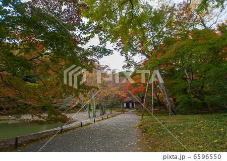 仙洞御所 醒花亭と桜の馬場 仙洞御所 醒花亭と桜の馬場 6596550