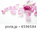 バラの花びら バラの花びら 6596584
