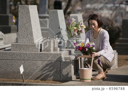 お墓に花を供える女性 6596788