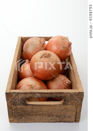 たまねぎ 6598793