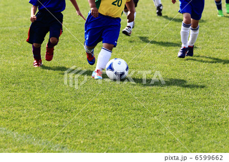 サッカー サッカー 6599662