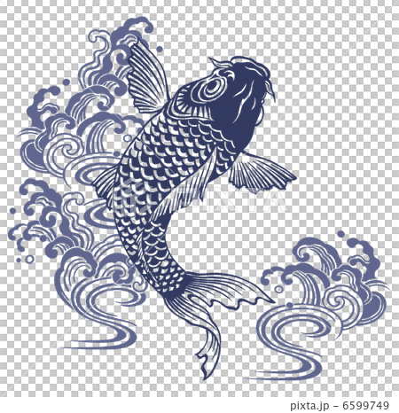 和調　コイ 6599749