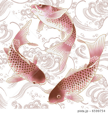 輪調 鯉 輪調 鯉 6599754