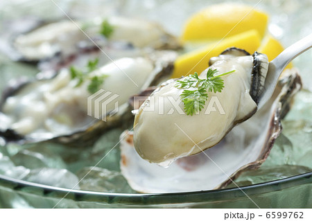 牡蠣 牡蠣 6599762