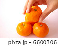 みかんを持ち上げる 6600306