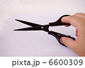 はさみを持つ 6600309