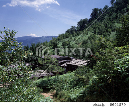 野麦峠 6601879