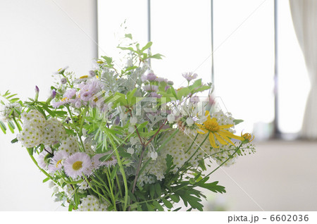 フラワーデザイン 6602036