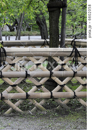 竹塀と新緑 竹塀と新緑 6602058