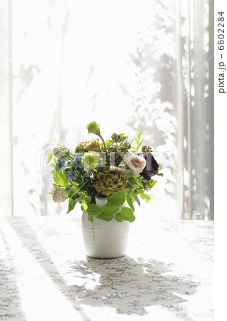 フラワーデザイン 6602284