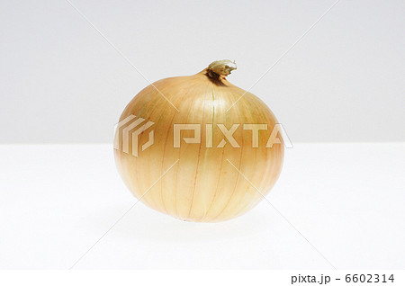 白バックにタマネギ 白バックにタマネギ 6602314