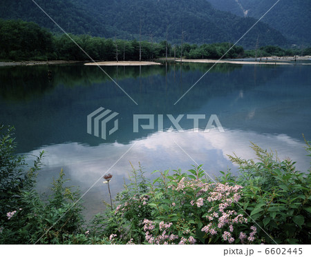 上高地　大正池 6602445