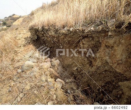 阪神淡路大震災で出た活断層 6602492