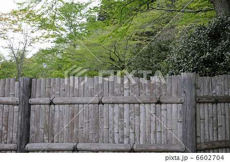 竹塀と新緑 6602704