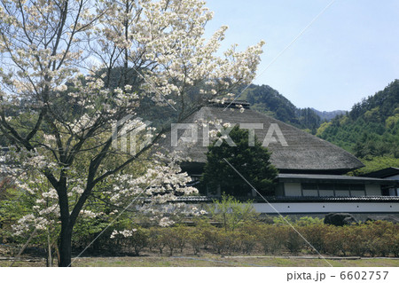 前山寺　本堂 6602757