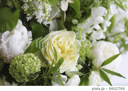 贈り物用フラワーアレンジ 6602766