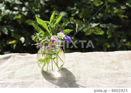 初夏のフラワーアレンジメント 6602825