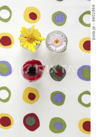 グラフィック模様の上に置いた三つの花 6602869