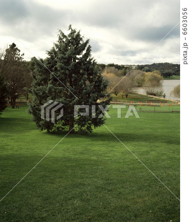 コモンウェルス・パーク 6603056