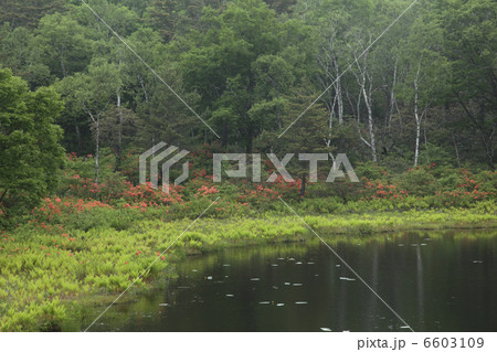 一沼 一沼 6603109