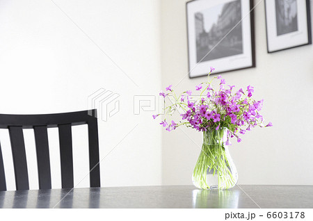 サクラソウのフラワーアレンジメント 6603178