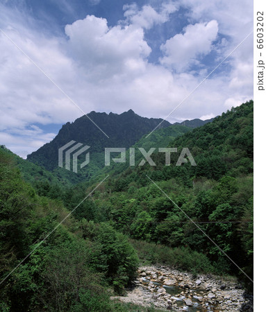 鶏冠山と西沢渓谷 6603202