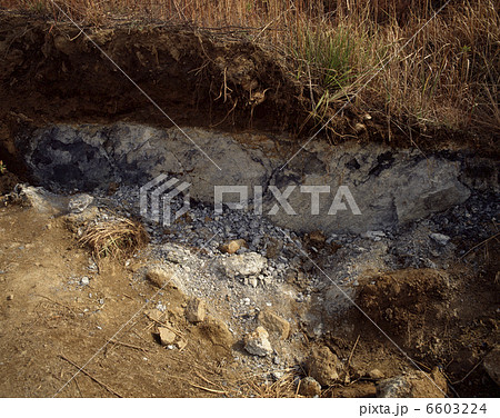 阪神淡路大震災で出た活断層 6603224