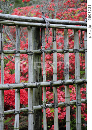 竹塀と花 6603281