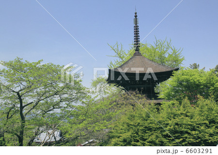 前山寺　三重塔（重文） 6603291