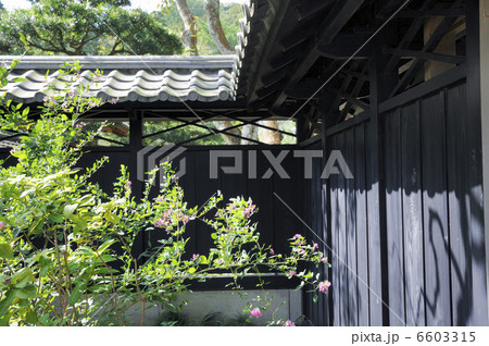 日本家屋の黒塀 6603315