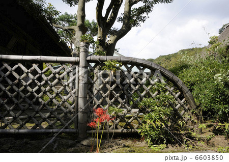 日本庭園の竹塀 6603850