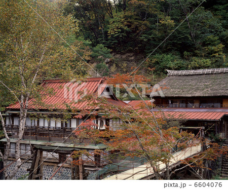 宝川温泉 6604076