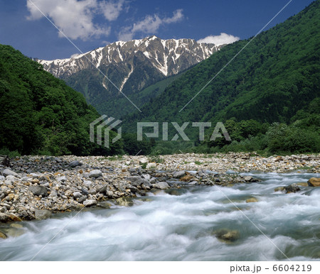 北アルプスと新緑 北アルプスと新緑 6604219