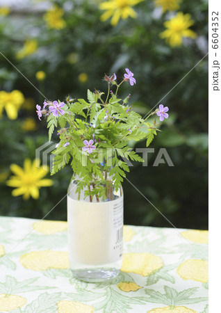 庭のテーブルガラスビンに生けた野の花 庭のテーブルガラスビンに生けた野の花 6604352