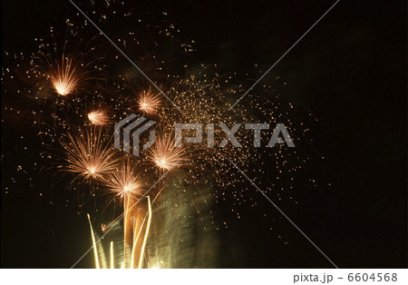 鎌倉花火大会 6604568
