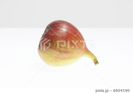 白バックにイチジク 6604590