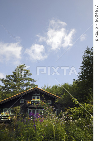 森のペンション 6604657