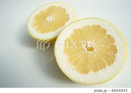 オロブロンコ 6604945