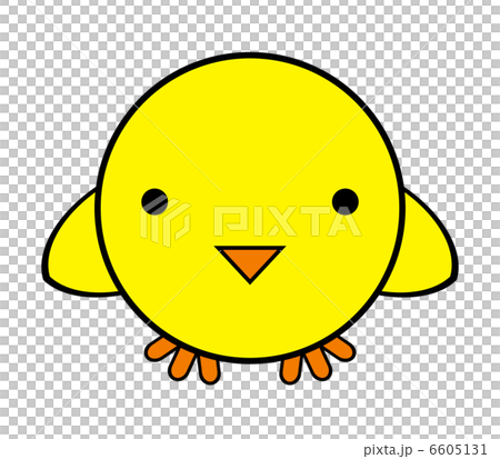 ヒヨコ 6605131