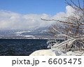 しぶき氷 6605475