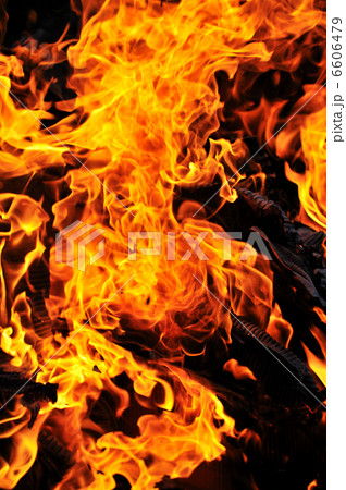 wild fire wild fire 6606479